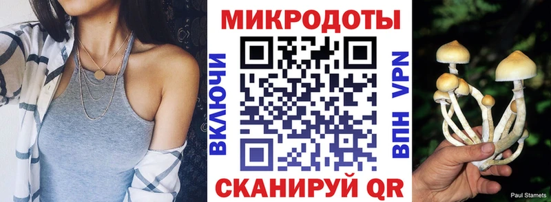 Галлюциногенные грибы мицелий  Алейск 