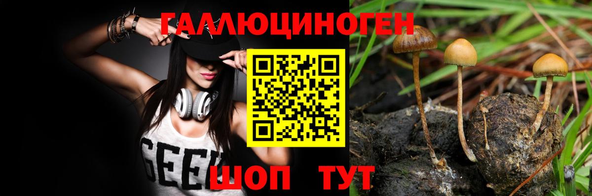 Алейск  Псилоцибиновые грибы Cubensis  Галлюциногенные грибы MAGIC MUSHROOMS  Вход с VPN 